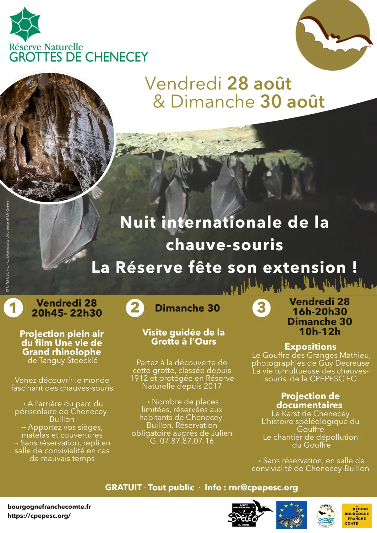 Nuit internationale de la chauve-souris