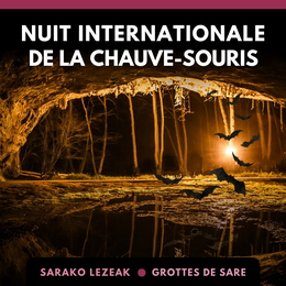 Nuit internationale de la chauve-souris 2026