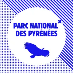 Nuit internationale de la chauve souris