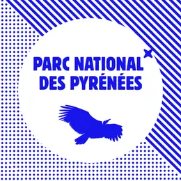Nuit internationale de la chauve souris