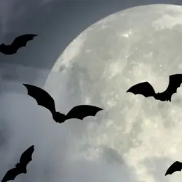 Nuit internationale de la chauve-souris