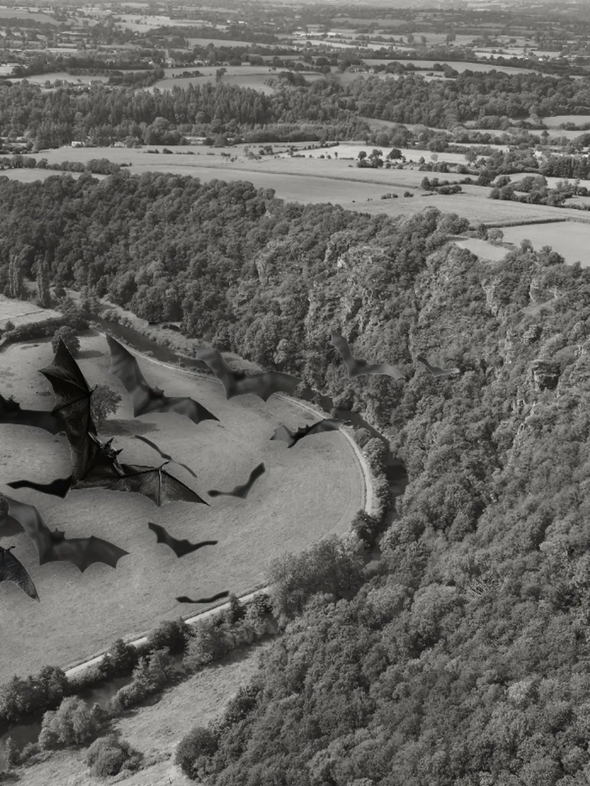Nuit internationale de la chauve-souris aux Roches de Ham