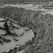 Nuit internationale de la chauve-souris aux Roches de Ham