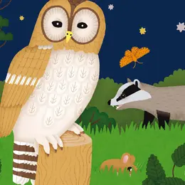 Nuit magique : un atelier avec l'illustratrice Chloé du Colombier