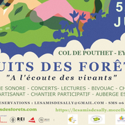 Nuits des Forêts | À l'écoute des vivants