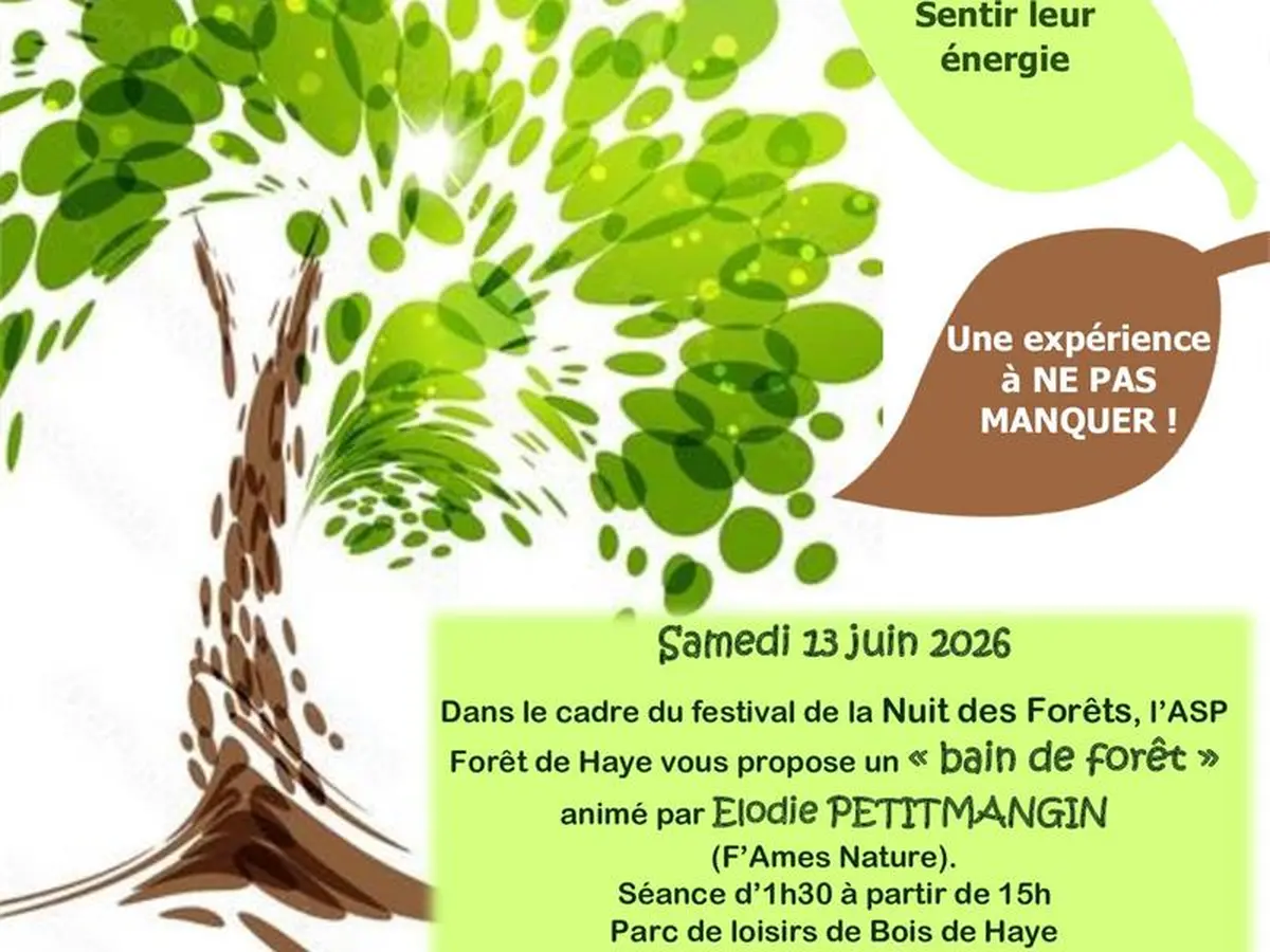 Nuits des forêts - Bain de forêt - Forêt de Haye