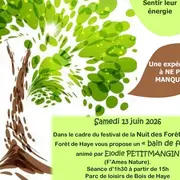Nuits des forêts - Bain de forêt - Forêt de Haye