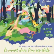Nuits des forêts - Du sous-sol aux cimes des arbres, le vivant dans tous ses états