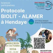 Observateurs du Littoral : découvrez la richesse de la biodiversité de l’estran rocheux.