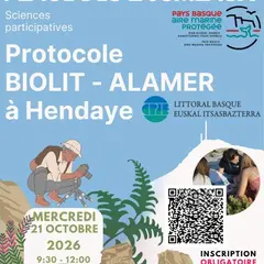 Observateurs du Littoral : découvrez la richesse de la biodiversité de l’estran rocheux.
