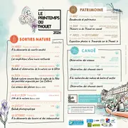 Observation des chauves-souris