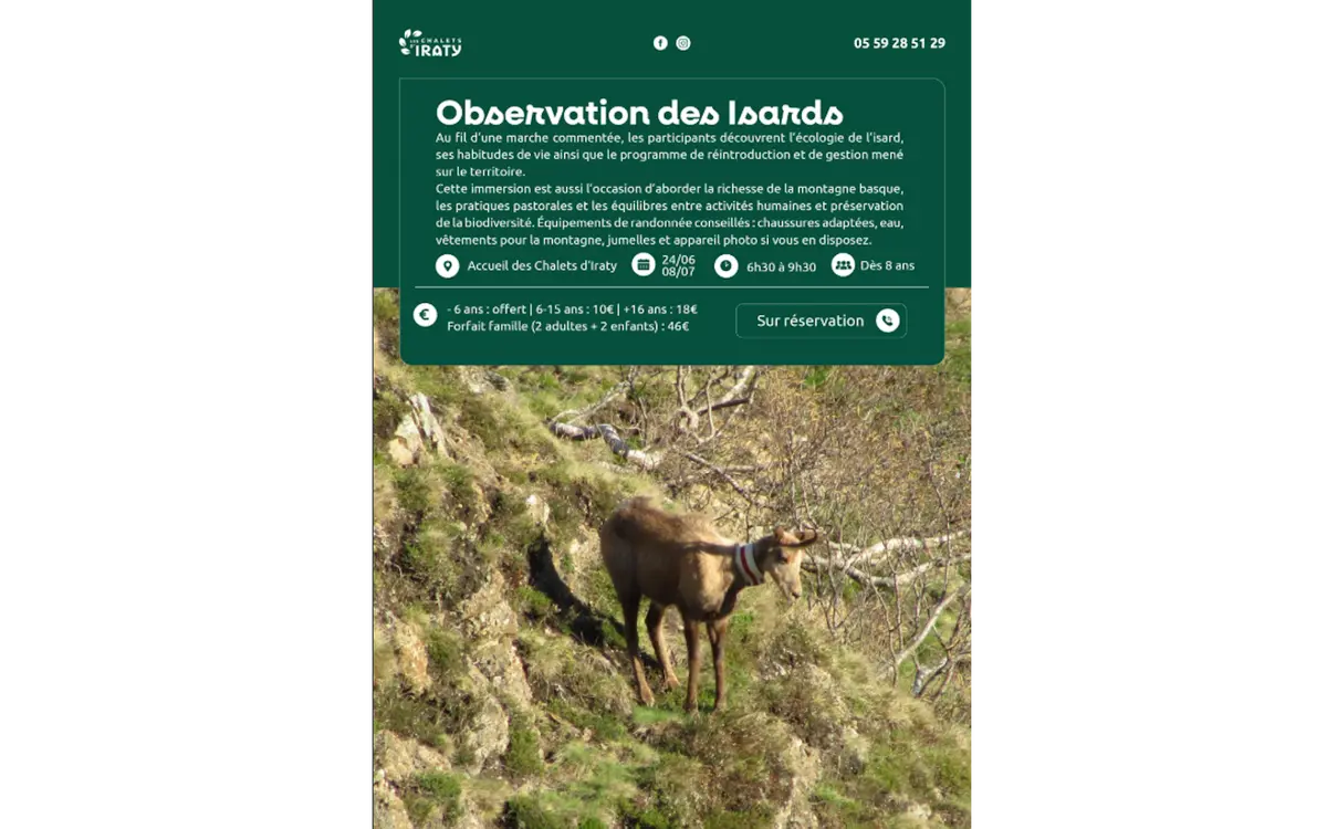 Observation des isards