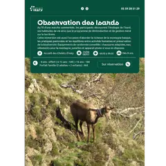 Observation des isards