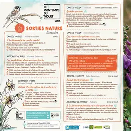 Observation des oiseaux en canoë