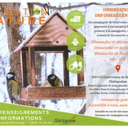 Observation des oiseaux en hiver