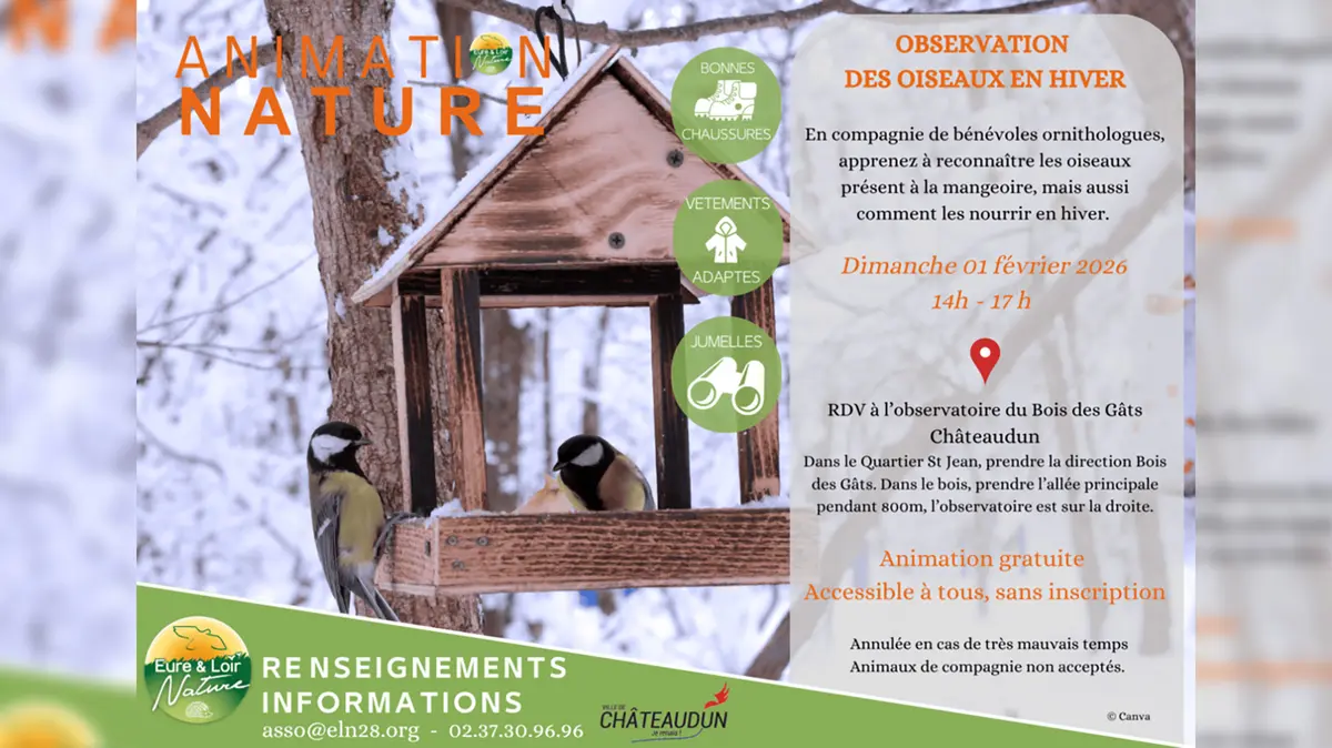 Observation des oiseaux en hivers par Eure-et-Loir Nature