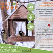 Observation des oiseaux en hivers par Eure-et-Loir Nature