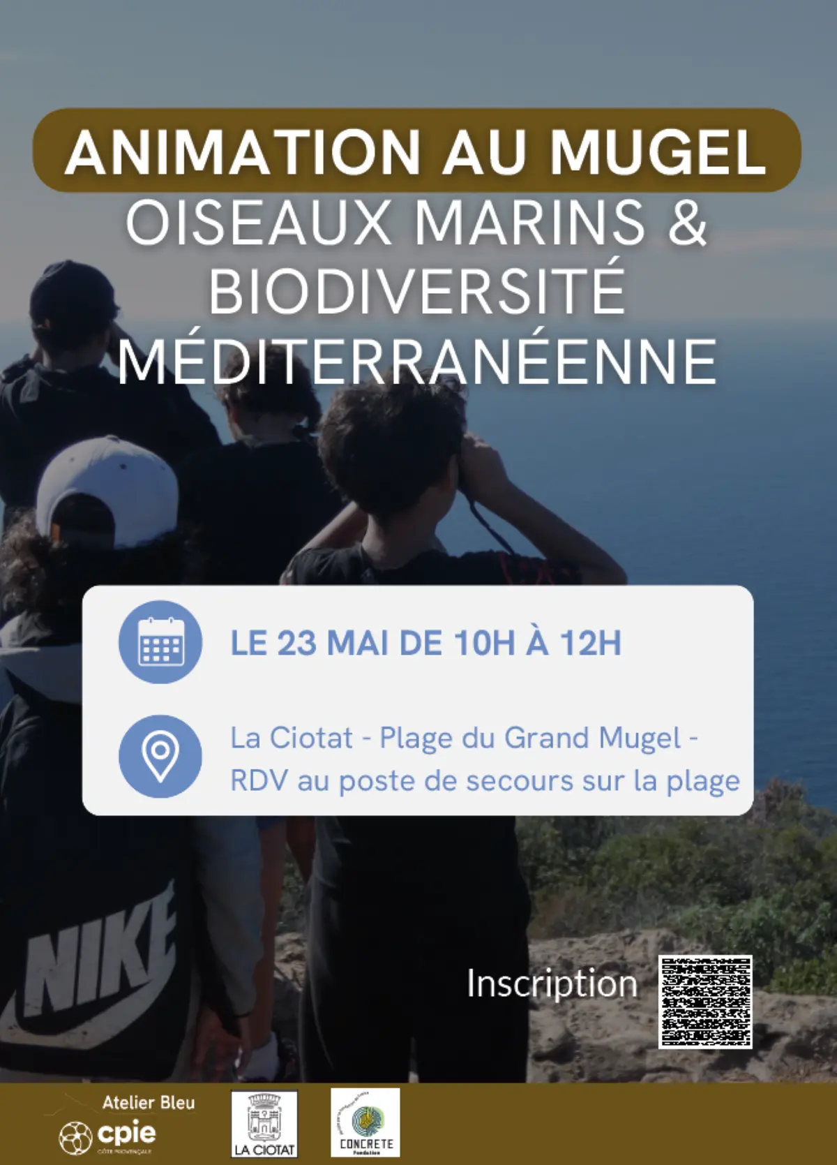 Observation des oiseaux marins et découverte de la biodiversité méditerranéenne sur la plage du Grand Mugel