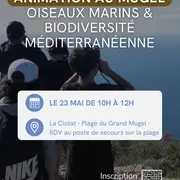 Observation des oiseaux marins et découverte de la biodiversité méditerranéenne sur la plage du Grand Mugel