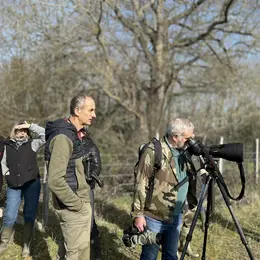 Observation des oiseaux migrateurs