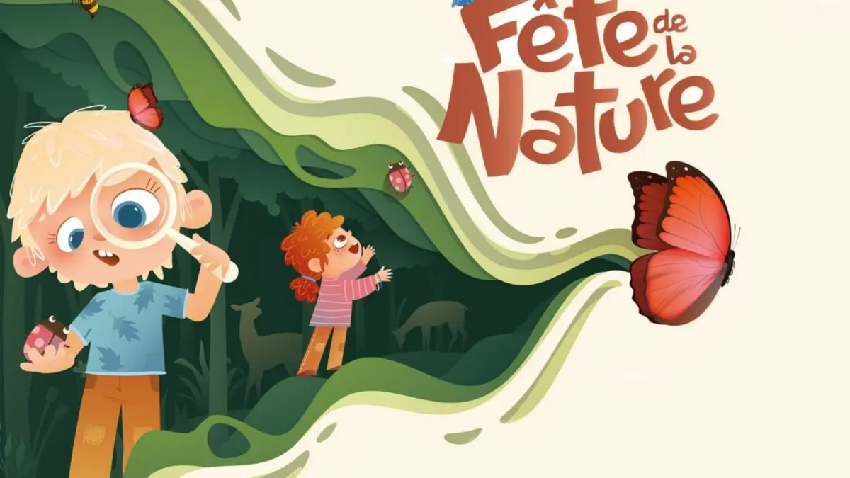 Observation du monde des oiseaux