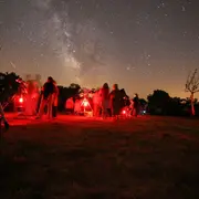 Observation guidée des étoiles filantes