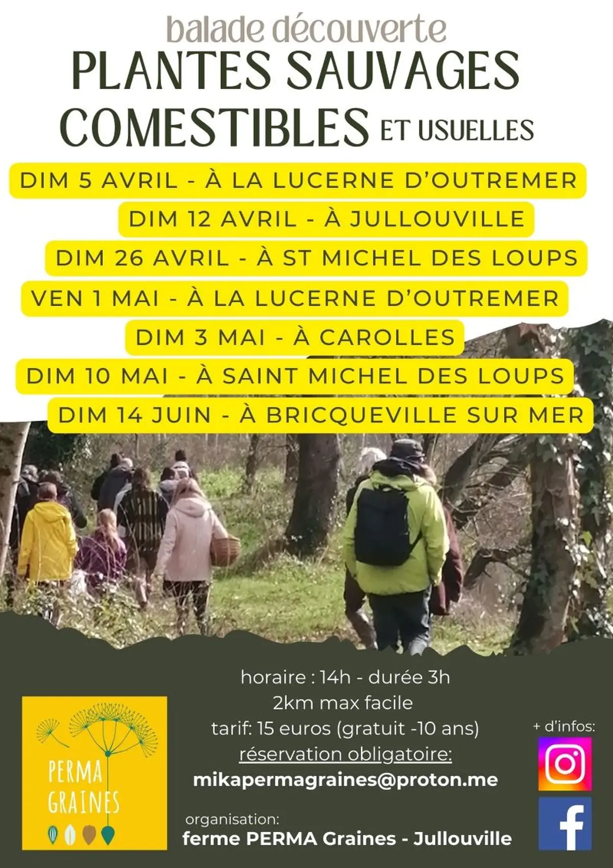 Observation phoques et oiseaux