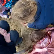 Observer les coquillages