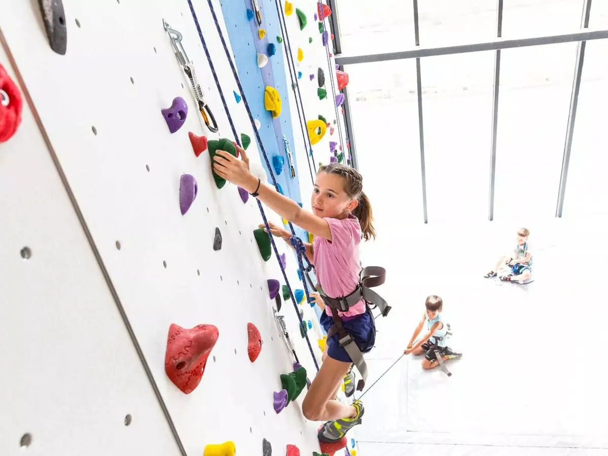 S'ils ont tendance à grimper partout, au moins ils peuvent apprendre à le faire en sécurité...