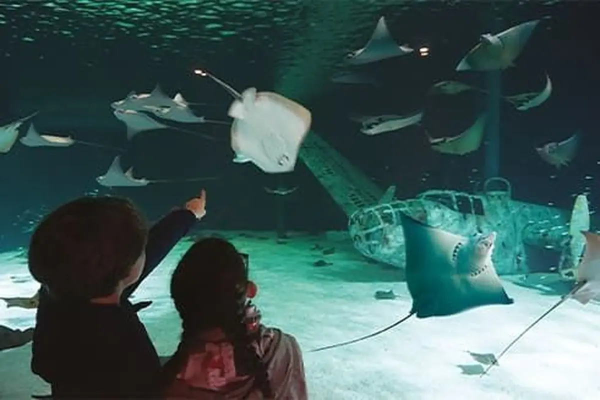 Océarium du Croisic