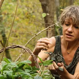 Octobre Rose 2026 - Balade botanique - Les bienfaits des plantes