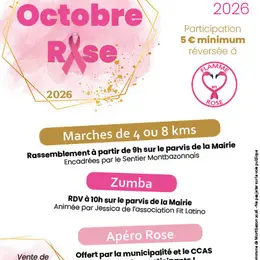 Octobre Rose à Montbazon