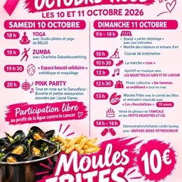 Octobre rose à Port de Lanne