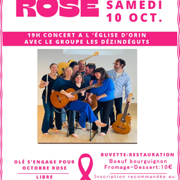 Octobre rose avec le groupe les Dézindéguts