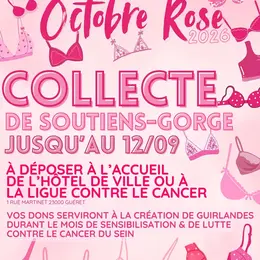 Octobre rose : collecte de soutien gorge
