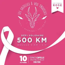 Octobre rose - Défi solidaire 500 km en 5h - Gazelles à vos trousses