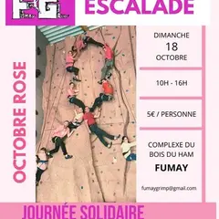 Octobre Rose : Escalade