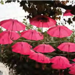 Octobre Rose : L'Estan'Rose