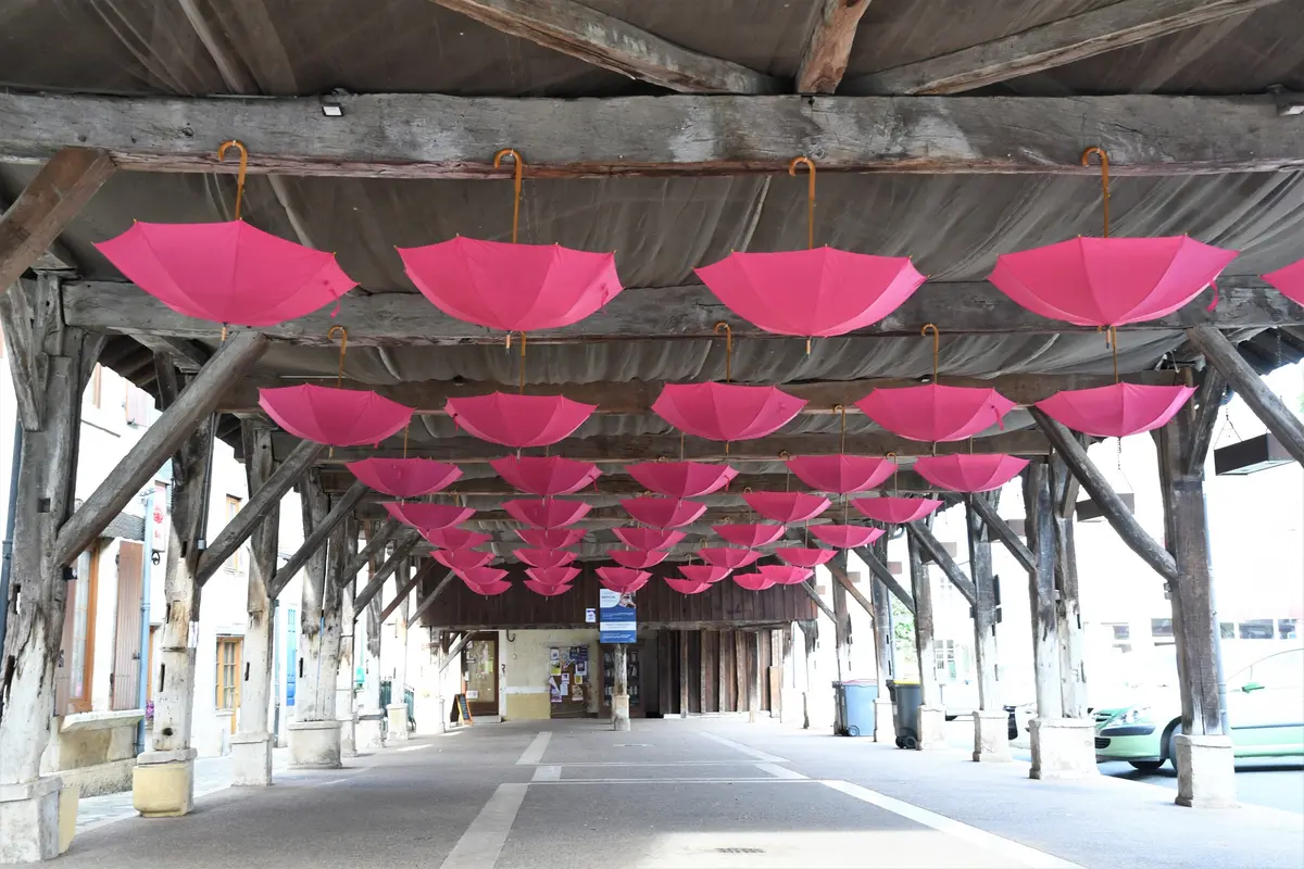 Octobre Rose: marche contre le cancer du sein