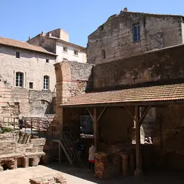 Ode à Vénus