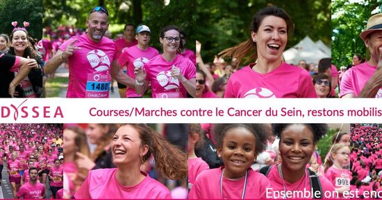 O&ugrave; aller &agrave; Dijon ce week-end du 12 au 14 juin 2026 ? 6 id&eacute;es sorties