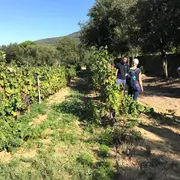 Oeno-Balade Avec Le Domaine Deprade-Jorda