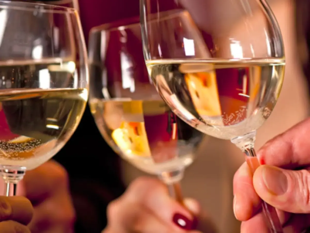 Oenologie, les bases de la dégustation à Bordeaux (33)