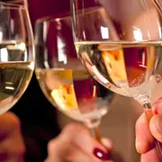 Oenologie, les bases de la dégustation à Bordeaux (33)