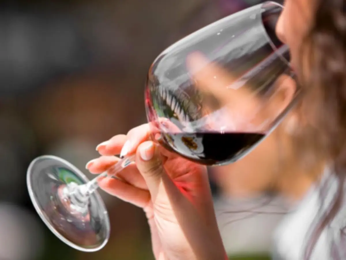 Oenologie, les bases de la dégustation à Montpellier (34)