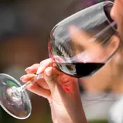 Oenologie, les bases de la dégustation à Montpellier (34)