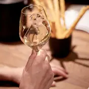 Oenologie, les bases de la dégustation à Rennes (2h)