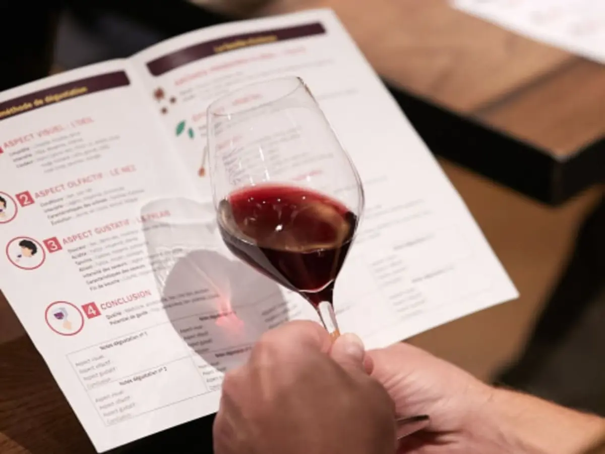 Oenologie, les bases de la dégustation à Tours (37)