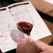 Oenologie, les bases de la dégustation à Tours (37)