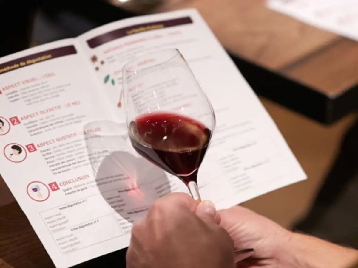 Oenologie, les clés de la dégustation à Strasbourg (4h)